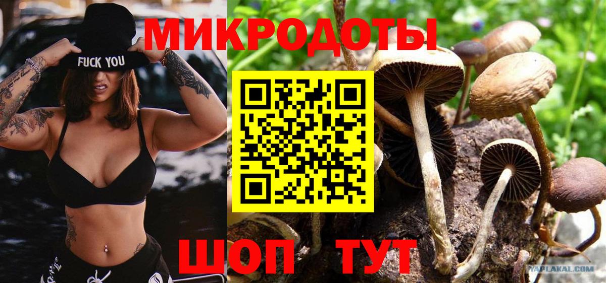 Псилоцибиновые грибы Cubensis  Вход с VPN  Усть-Кут 