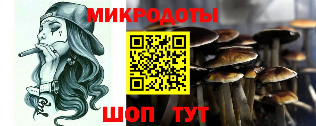 Галлюциногенные грибы мухоморы Усть-Кут